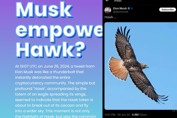 Hawk: the emerging meme coin who is flying over sky and backed by Elon Musk