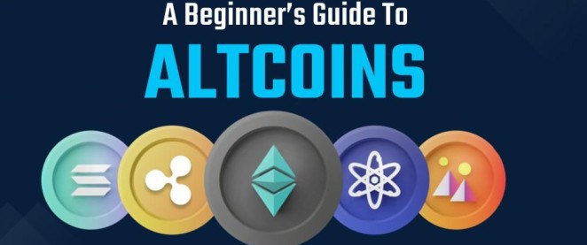 Altcoins gain momentum